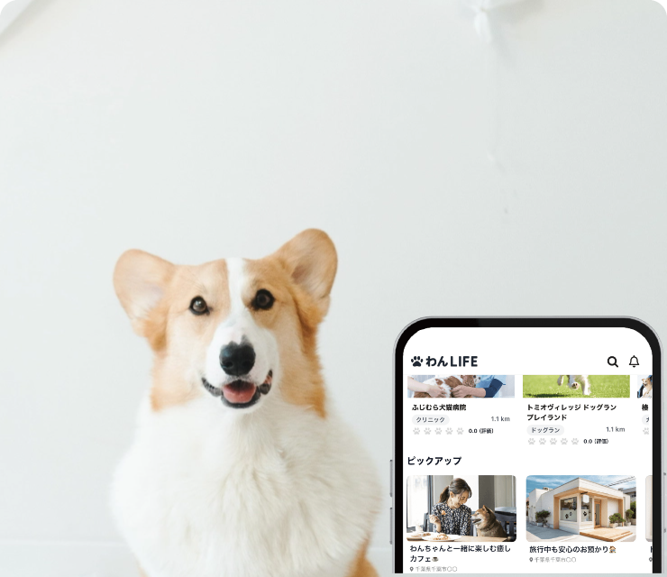 ピックアップ広告